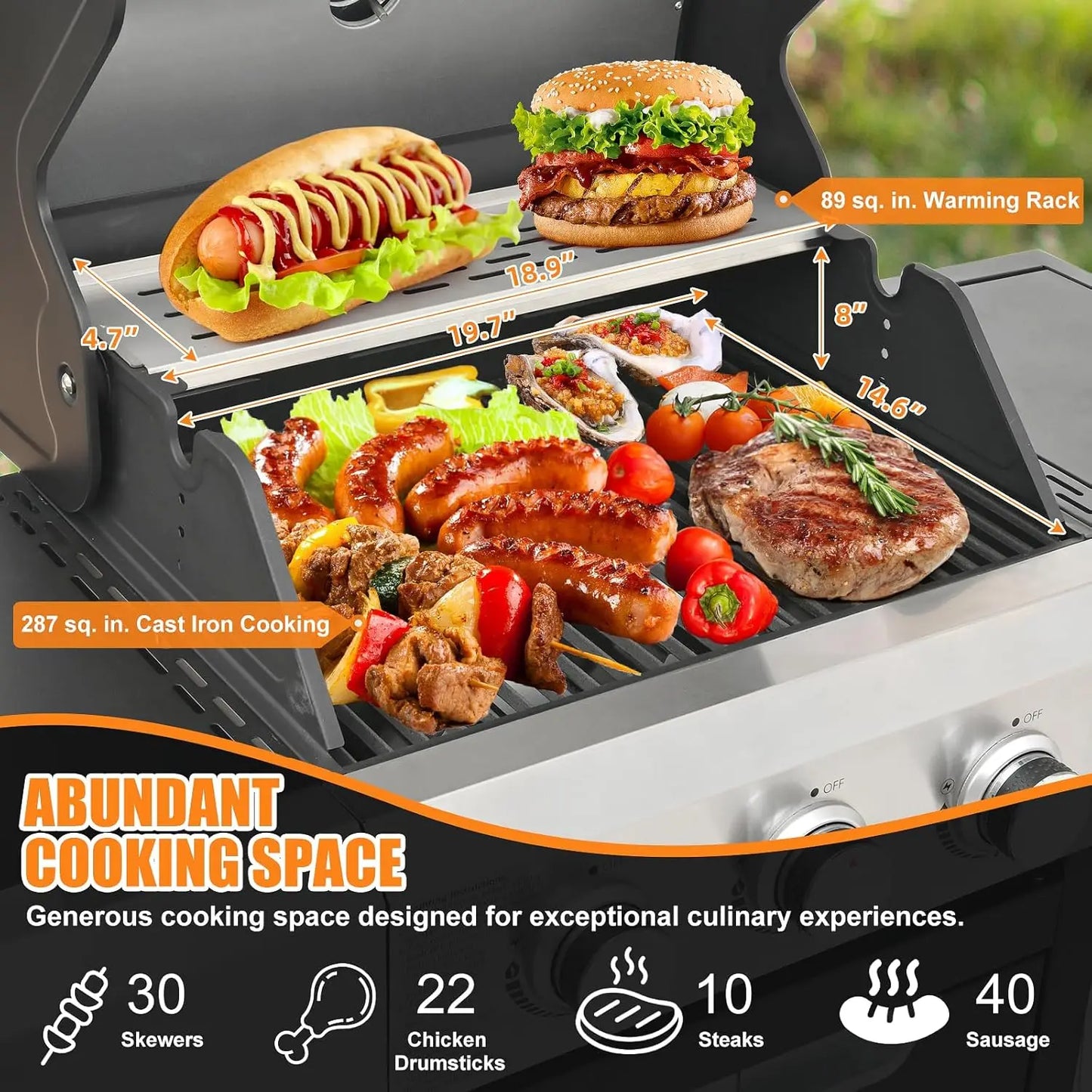 Deluxe 4-Burner Propane Gas Grill with Side Burner