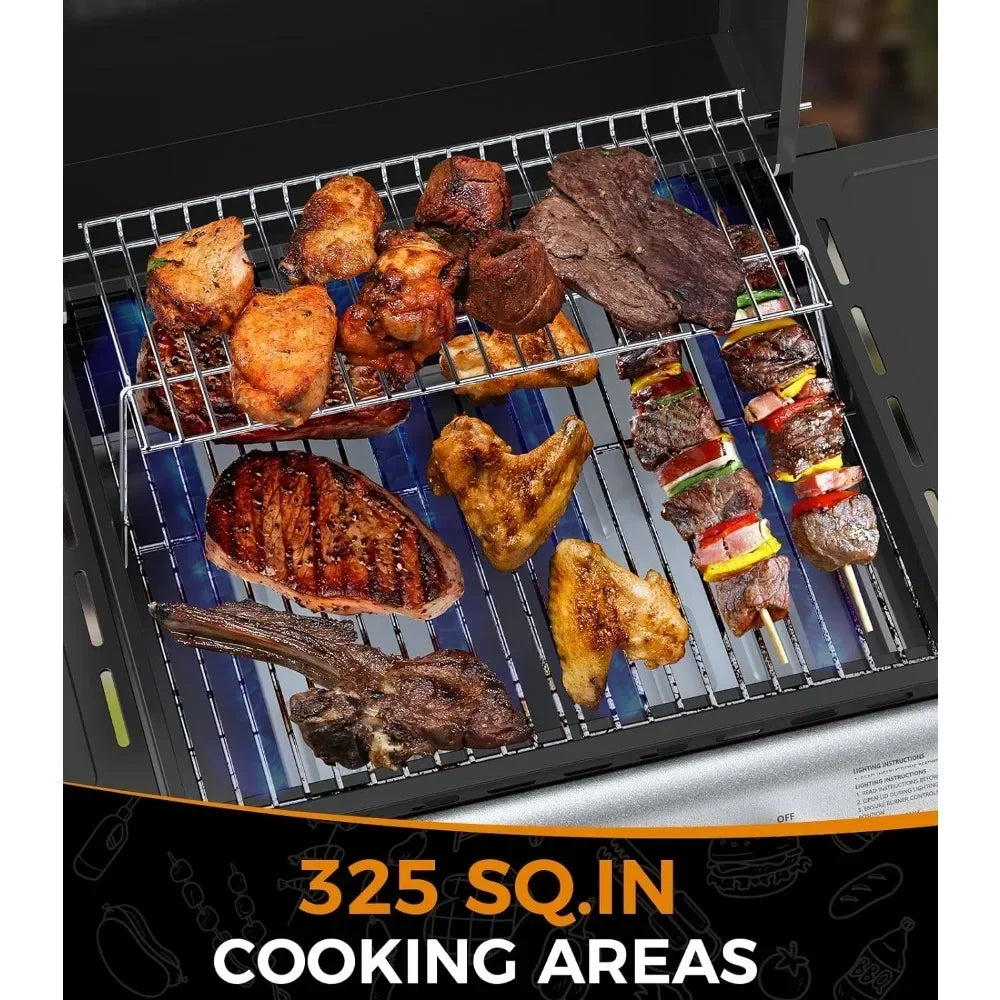 Premium 2-Burner Propane Gas Grill