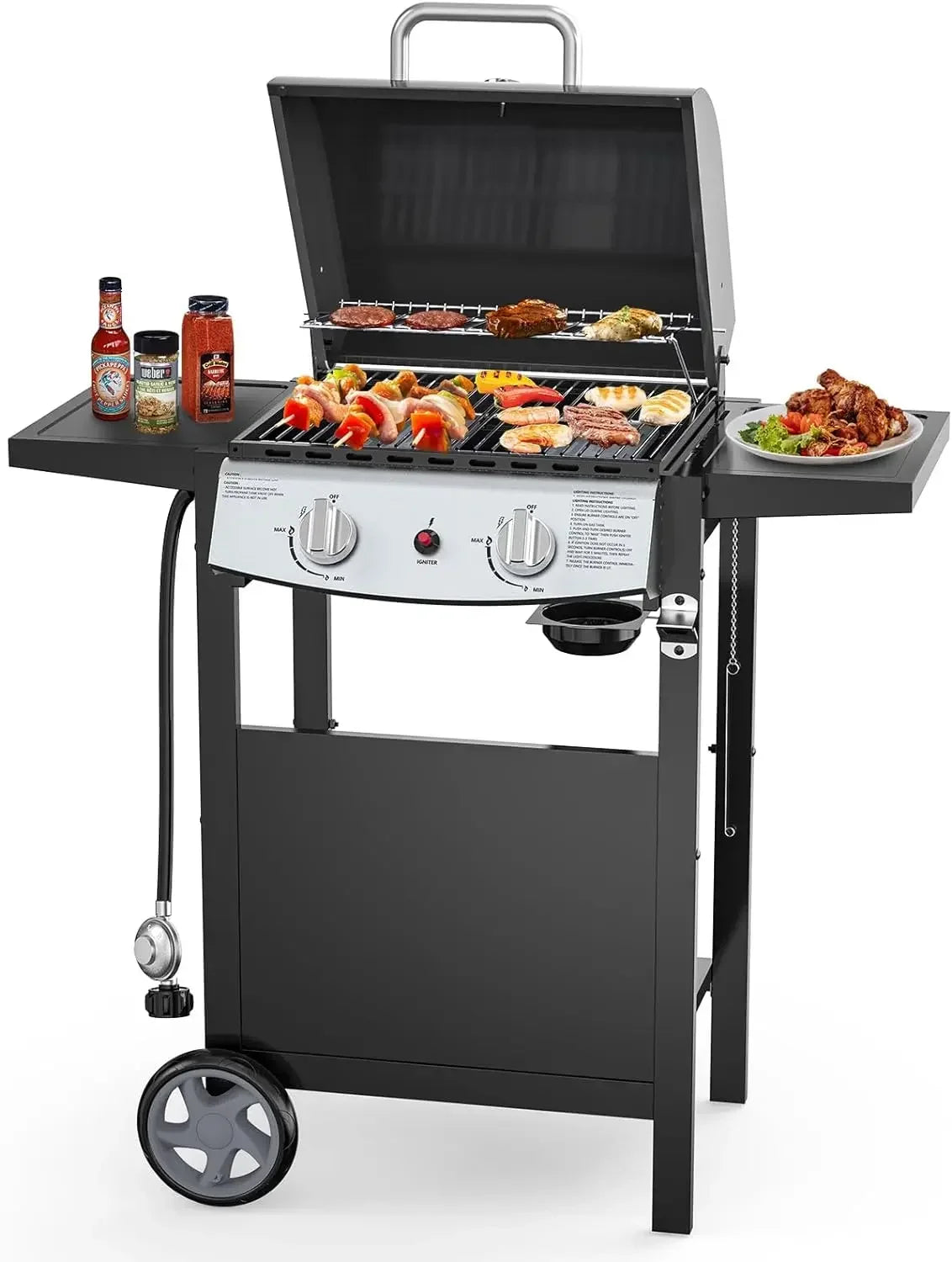 Premium 2-Burner Propane Gas Grill